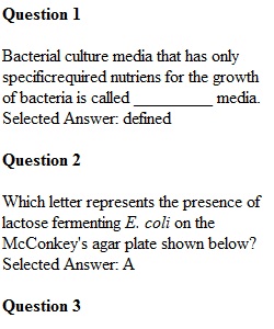 Lab Exam